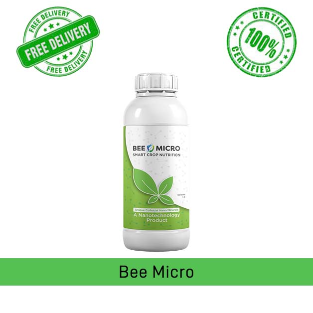 BEE-MICRO
